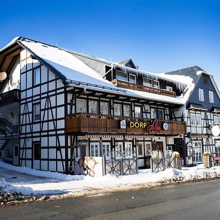 Gaestehaus Dorf-Alm Willingen  Exteriör bild